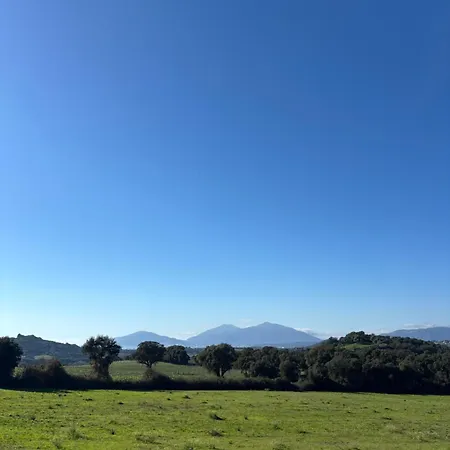 Bergerie Du Riccio Avec Piscine Privee